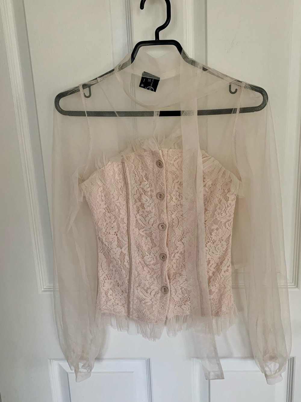 Sheer Long-Sleeve Lace Bustier Top in Blush